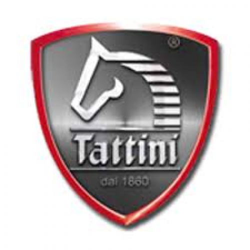 Tattini