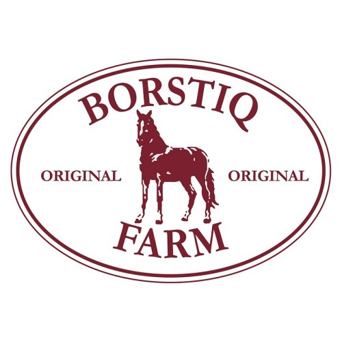 Borstiq