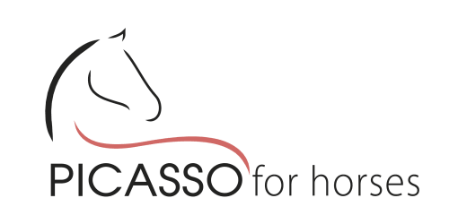 Picasso for horses