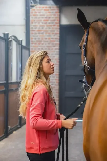 Sweat à capuche Technique - Horse Pilot
