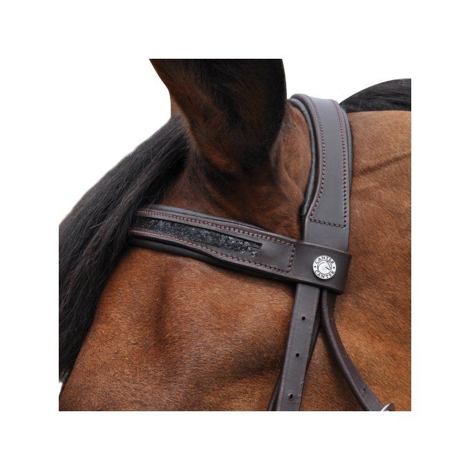 Bridon CANTER Black Strass