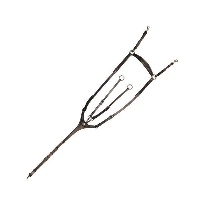 Collier de chasse Canter