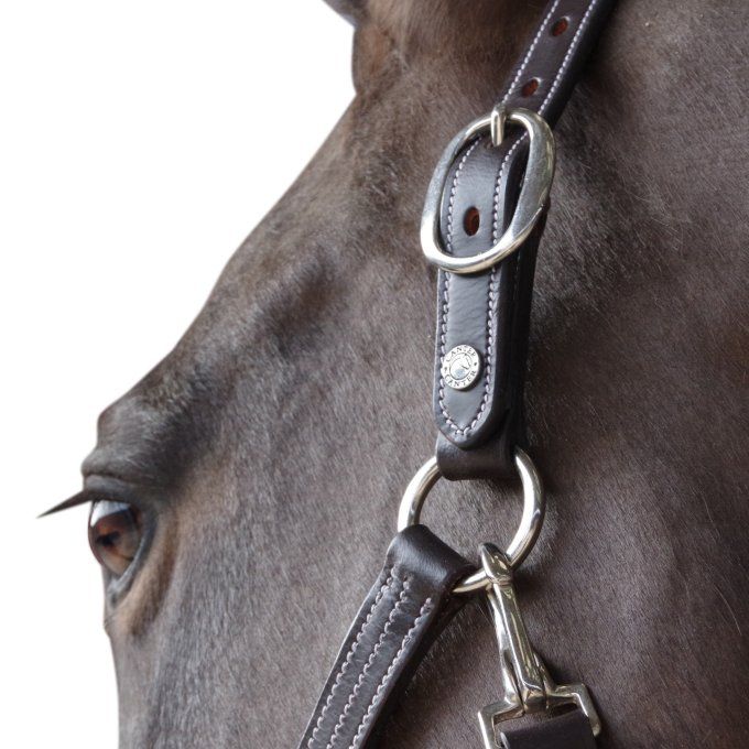 Licol cuir doublé CANTER