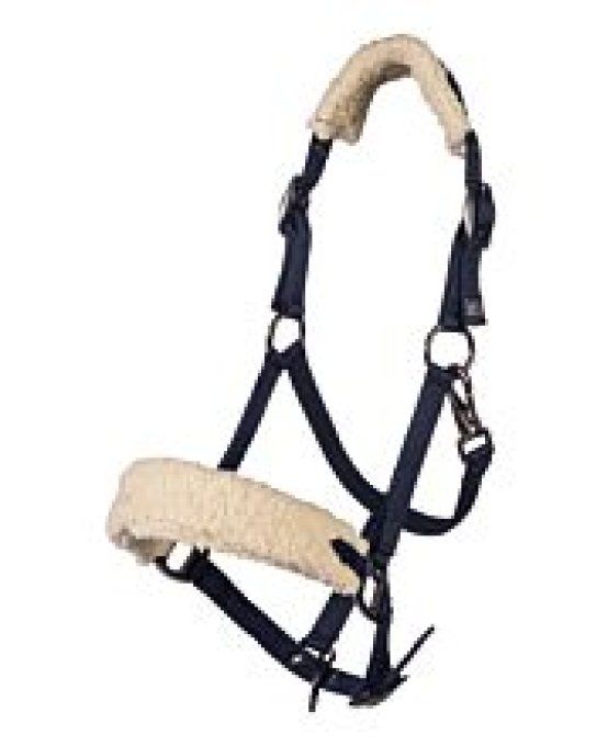 Licol – Mia – pour poneys Shetland