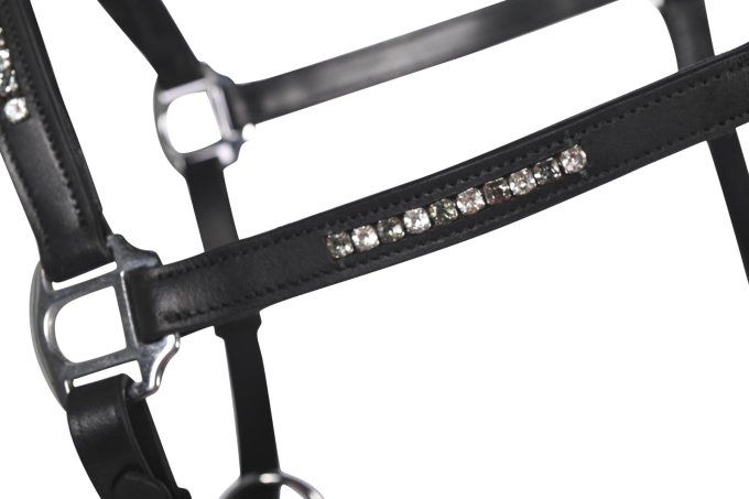 Licol en cuir HKM - Sparkle