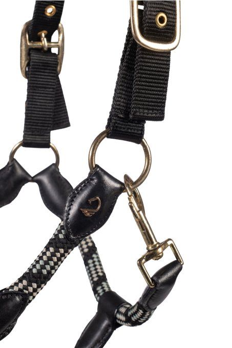 Licol Limone Sportive HKM