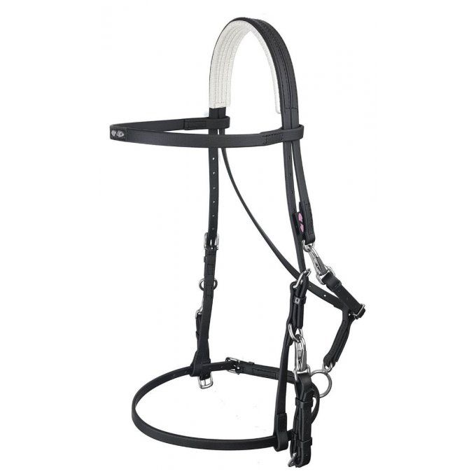 Bridon Licol Ultra Bridle Zilco