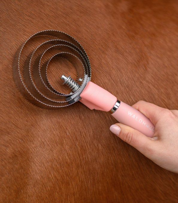Étrille métallique ronde avec poignée en gel 