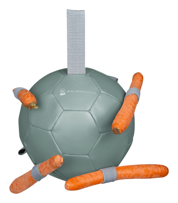 Balle à carottes 