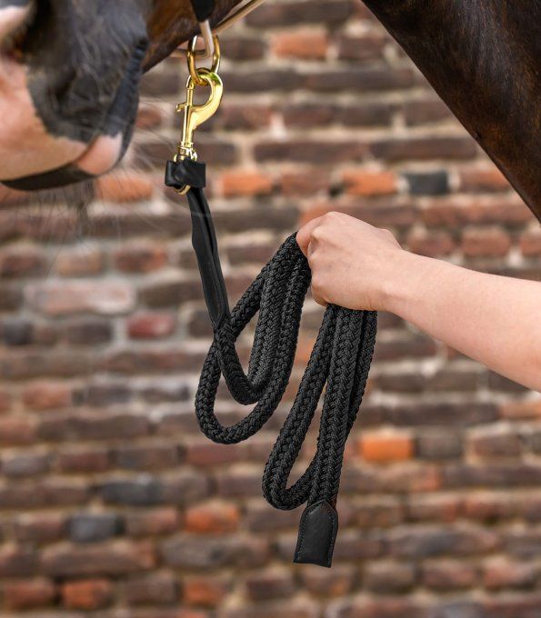 Longe Royal avec Détails en Cuir