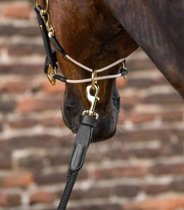 Longe Royal avec Détails en Cuir