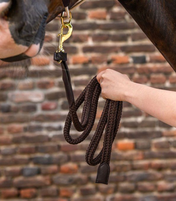 Longe Royal avec Détails en Cuir