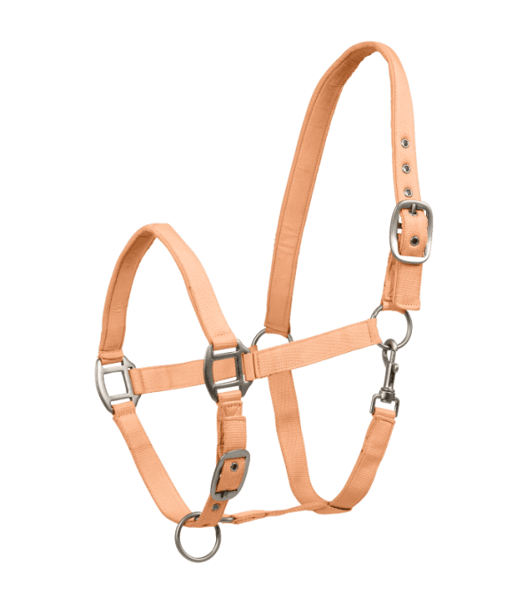 Licol Waldhausen Satin