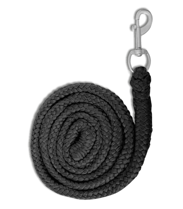 Longe de licol Economic  avec Mousqueton - Waldhausen