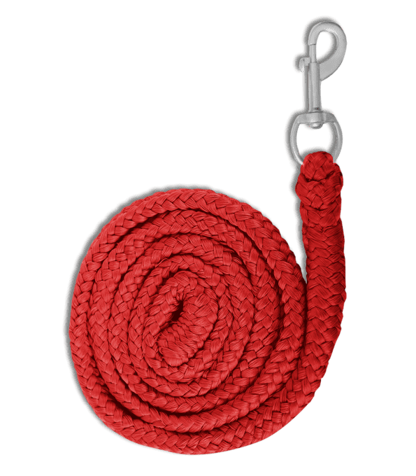 Longe de licol Economic  avec Mousqueton - Waldhausen