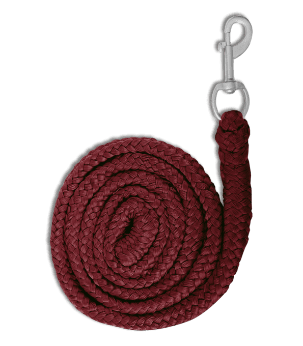 Longe de licol Economic  avec Mousqueton - Waldhausen