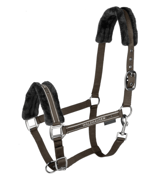 Licol WALDHAUSEN - Elegant 