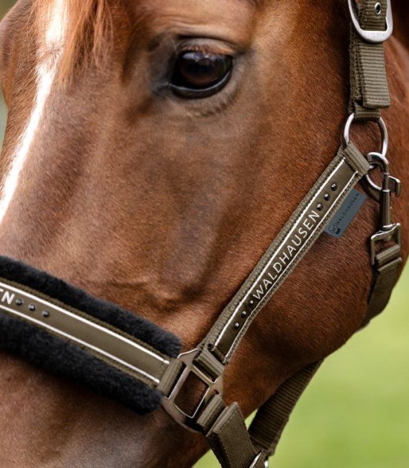 Licol WALDHAUSEN - Elegant 