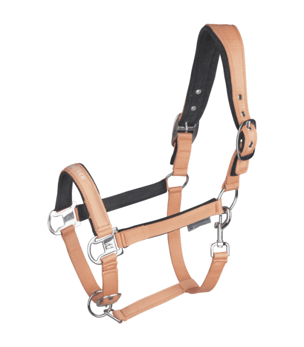 Licol Waldhausen Athletic