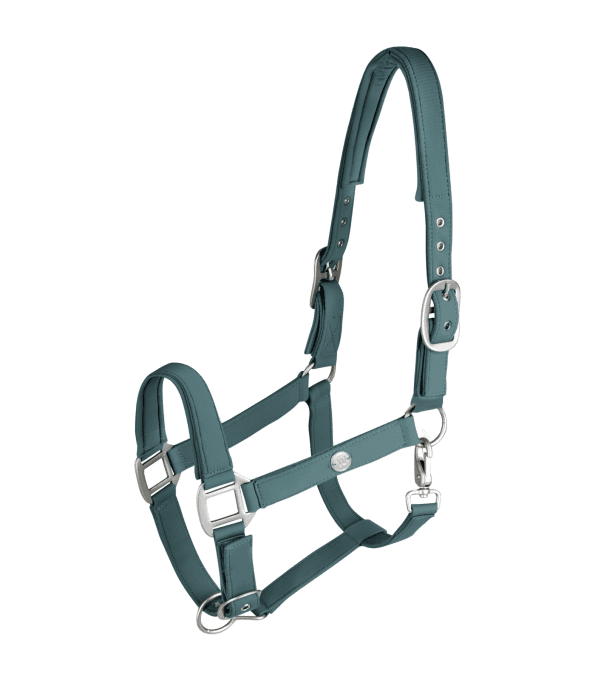 Licol Waldhausen Trinidad