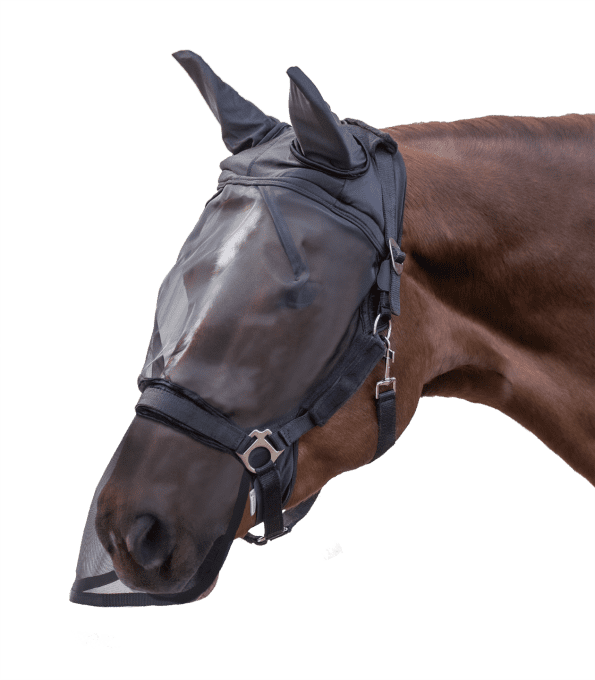 Masque anti-mouche  avec protection des oreilles et du chanfrein attachable au licol
