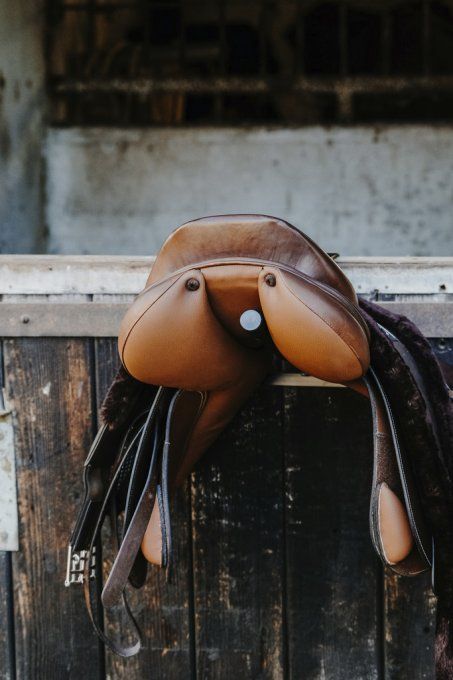  Porte-selle portable HIPPOTONIC