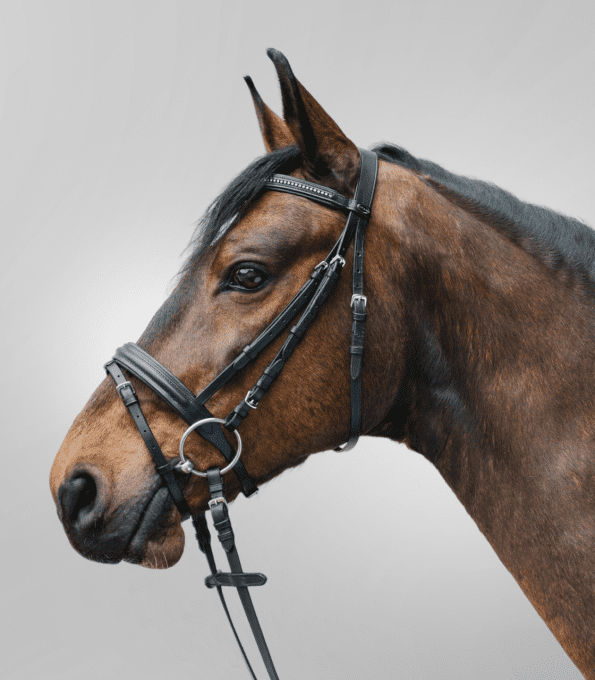 Bridon STAR Diamond