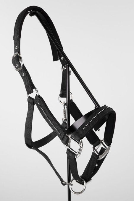 Set licol + longe Amour Harcour
