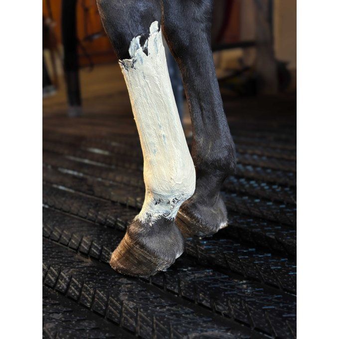 Argile Kevin Bacon's Fresh Clay