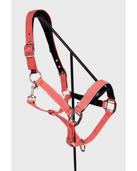 Licol avec longe Bamara - Harcour