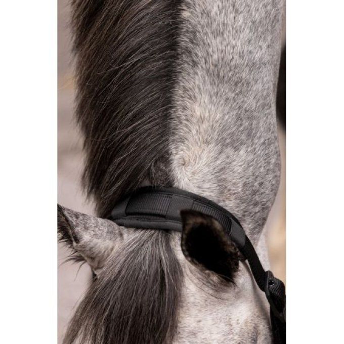Bande de protection K by EQUITHÈME 30 cm