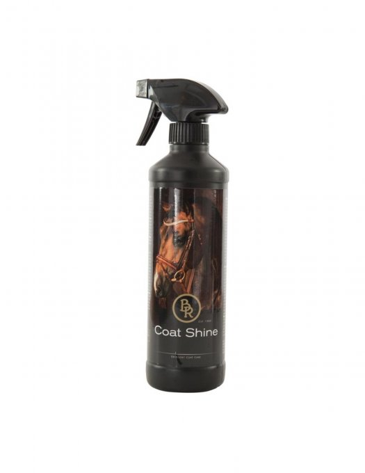 Coat Shine BR 1L