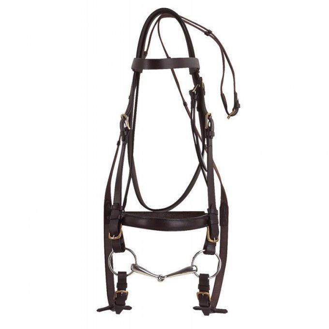 Bridon Norton Club - cheval de trait