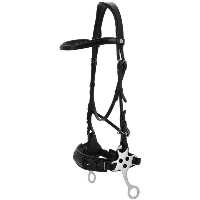 Bridon hackamore Norton Compet