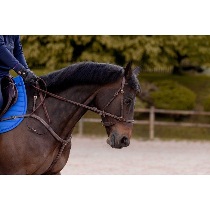 Bridon K by EQUITHÈME K-Konnect