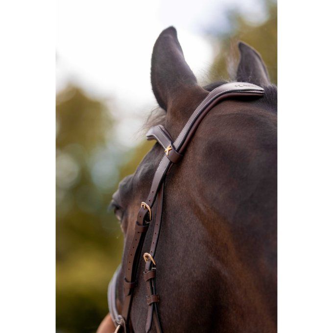Bridon K by EQUITHÈME K-Konnect