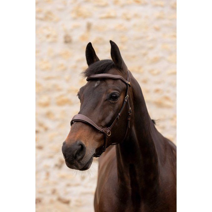 Bridon K by EQUITHÈME K-Konnect