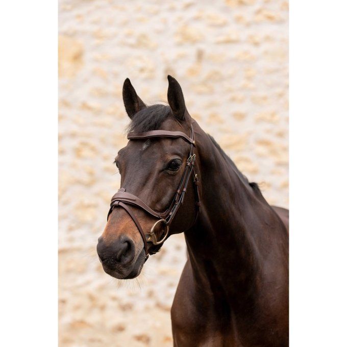 Bridon K by EQUITHÈME K-Kontour