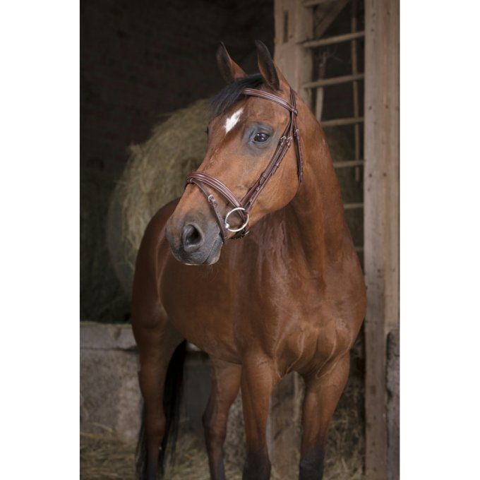 Bridon Norton Pro Fin