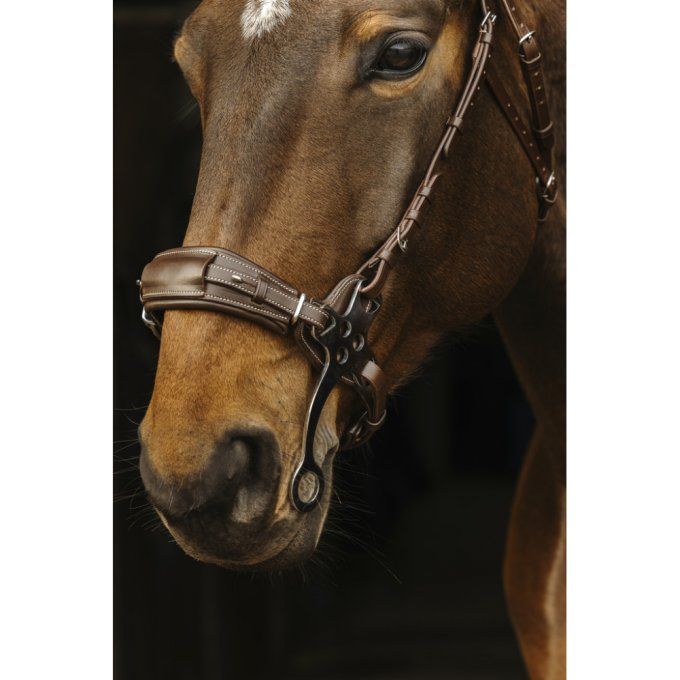 Bridon Norton Pro Hackamore