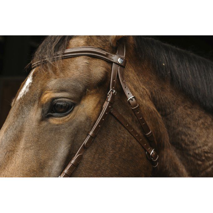 Bridon Norton Pro Hackamore