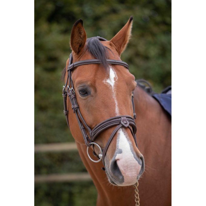 Bridon Pénélope Elégance