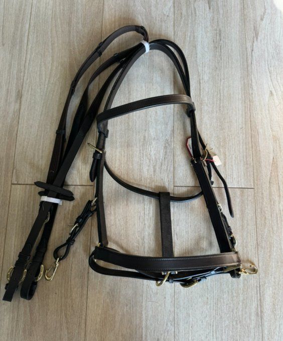 Bridon licols en cuir de buffle