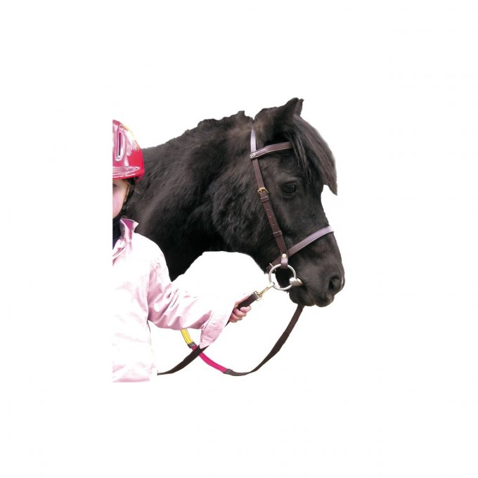 Bridon éducatif Shetland