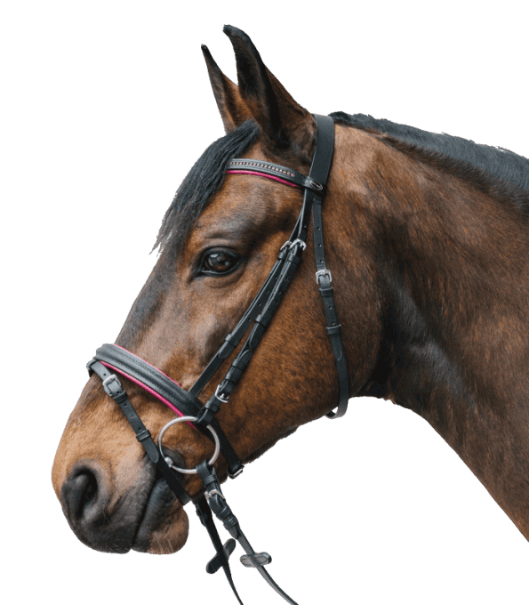 Bridon STAR Diamond