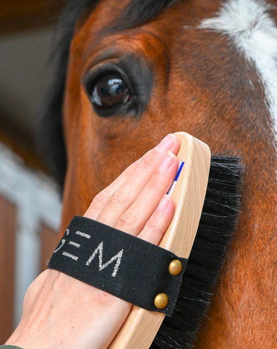 Série Cheval Doré , Fermeture à Glissiere Equestre , Marron , Noire , Bleu  Marine , Rouge ou Blanche , Zip Métal Doré 6 mm sur Mesure