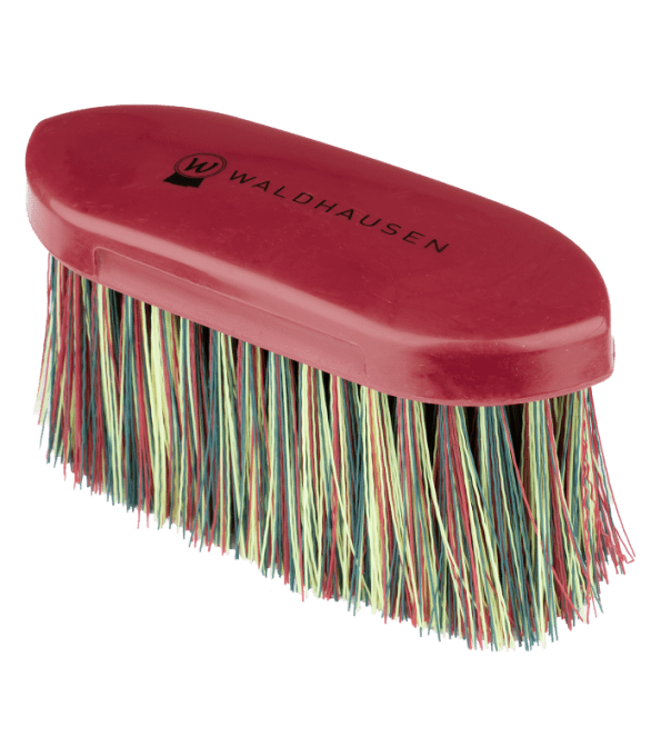 Brosse à poussière Rainbow 