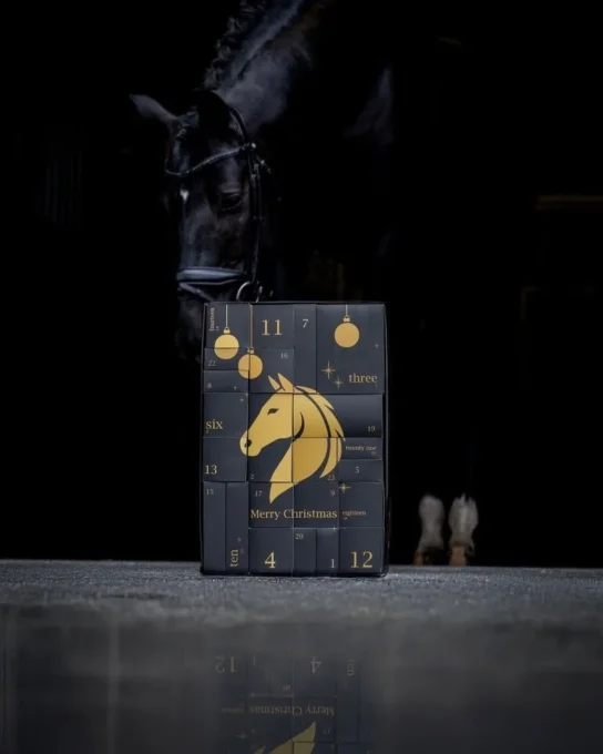 Calendrier de l'Avent Équitation HKM 2026 – Cheval & Cavalier