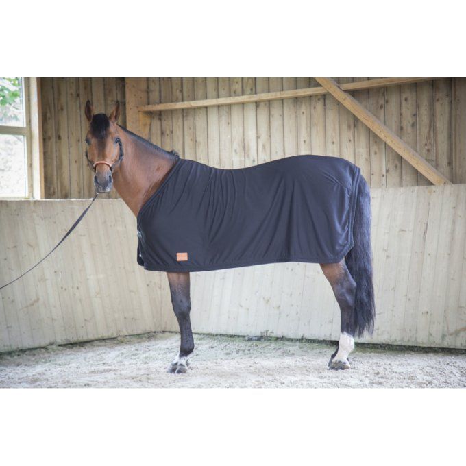 Chemise séchante Paddock