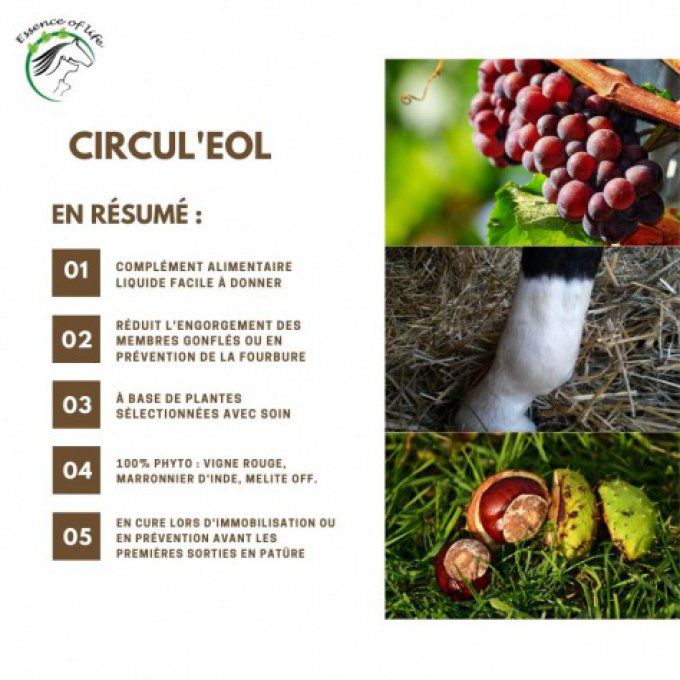 Circul'eol